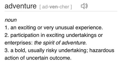 adventurer definition synonyms.